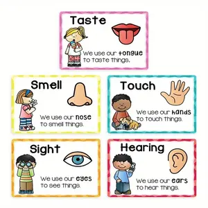 5-Piece Educational Sensory Posters for Preschool, High-Quality Waterproof Wall Charts, Eco-Friendly Ink, Large Size for Classrooms