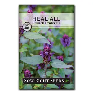 Heal-all Seeds