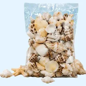500g/1.1lb Colorful Mixed Mini Shells Set - DIY Craft Decor Kit for Scrapbooking, Message Jars, Aquariums & Beach-Themed Art Projects garden