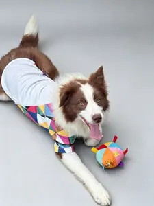 DAZI Kaleidoscope Summer Sport ''Shirts'' - Cozy All-Season Dog Homewear, Cool Breathable Fabric New Style - Pet Clothes for Indoor & Outdoor Wear