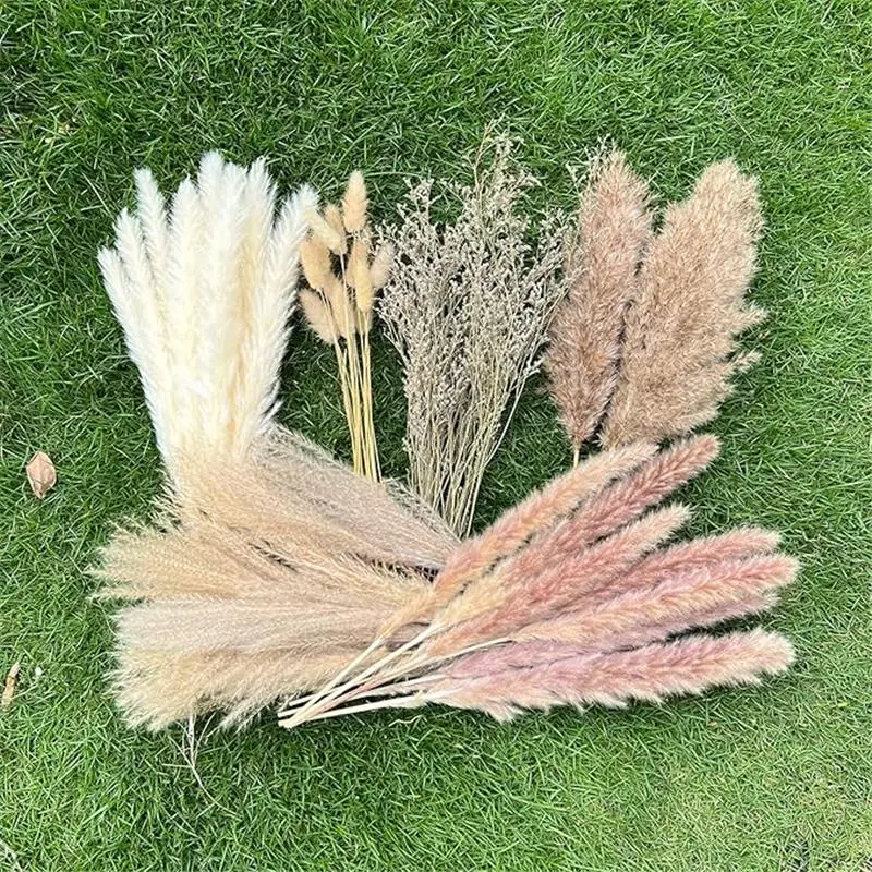 100Pcs Pampas Grass Boho Home Decor 17 inch Natural Dried Flowers-Pampas Grass