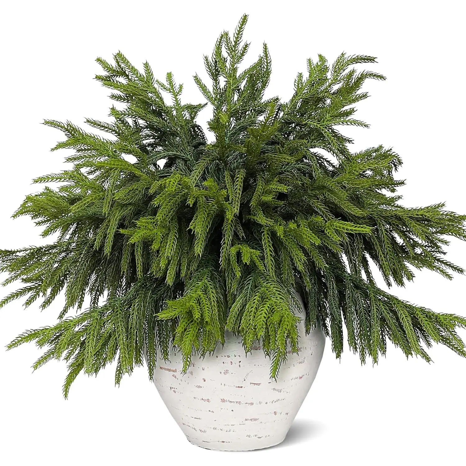 12 PCS 18 Inches Artificial Christmas Norfolk Pine Branch, Natural Touch Norfolk Faux Greenery Pine Stems, Fake Norfolk Picks Christmas Decoratoins for Vase DIY Garland Wreath Xmas Indoor Home Decor