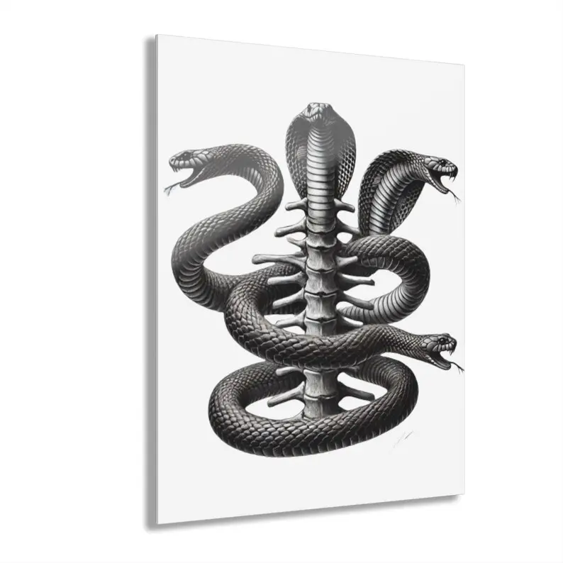 Acrylic Print of Serpents on a human spine, Acrylic Prints, Acrylic photos