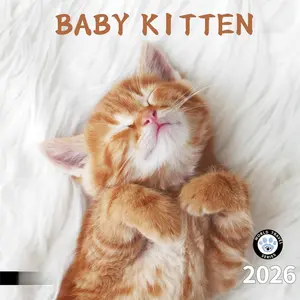 2026 Wall Calendar,Calendar 2026, November 2025 - December 2026, Wall Calendar  Kitten, 12" x 24" Opened,Full Page Months Thick & Sturdy Paper for Calendar Organizing & Planning