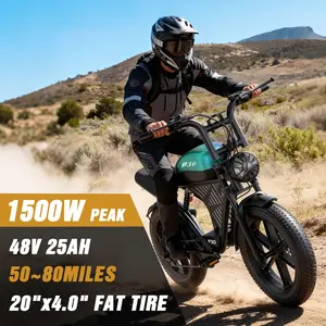 PikaBike Electric Bike, Peak Power 1500W, Full Suspension, Top Speed 31 MPH, Range 50-80 Miles, 48V 25Ah Removable Battery,2-SeaterDesign, LED Headlights, 20-Inch All-Terrain FatTires, UL 2849 Certified. Ebike Electric Motorcycle