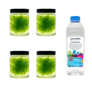 4 Cups Clean Chaeto & 32oz 5‑Species Copepods – Refugium Starter Kit Macroalgae