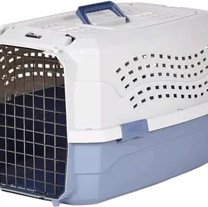 Amazon Basics 2-Door Top-Load Hard-Sided Pet Travel Carrier for Dogs and Cats, Gray & Blue, 22.8L x 15.0W x 13.0H