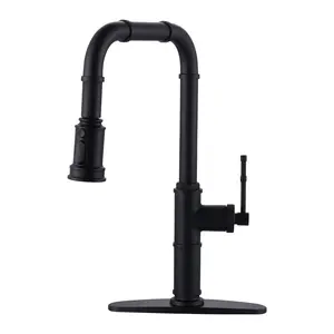 WOWOW Modern Brass 3-Function Single Handle Pull-Down Sprayer Kitchen Faucet with Deckplate in Matte Black