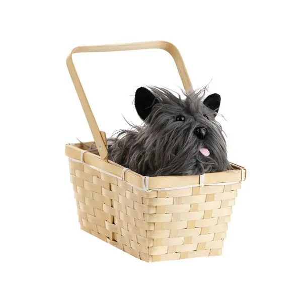Toto in a Basket Accessory