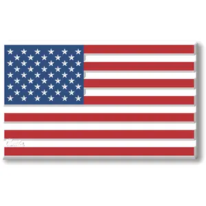 USA Flag Magnet by Classic Magnets