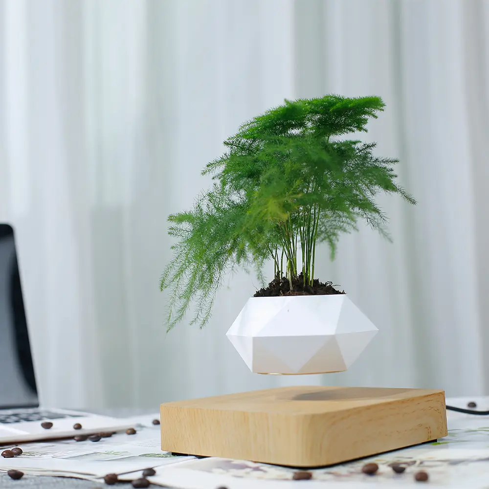 Magnetic Levitation Floating Planter - Lightweight 200g Geometric Minimal Base, 360° Rotation, Silent Operation, Sunlight Spin, Zen Decor for Living Room,Bedrooms, Succulents/Cacti, Healthier Growth, Even Sunlight, Flower Pots & Planters