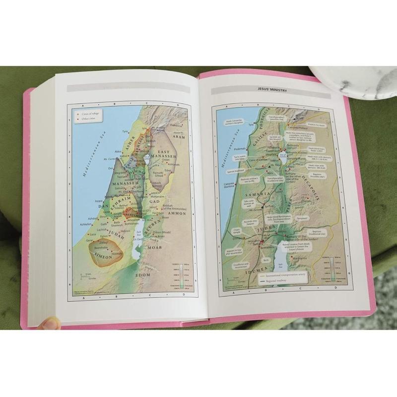 NIV, Gift and Award Bible, Leather-Look, Pink, Red Letter, Comfort Print Paperback – March 5, 2019