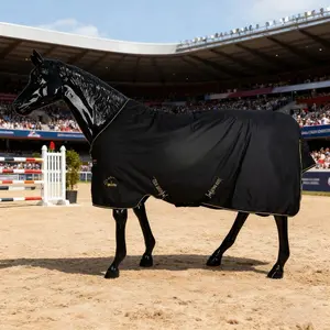 Competition-level equestrian horse coats. Winter and autumn competition-level horse constant temperature care. 200g/300g heavy cotton options available. Tear-resistant, 500D fabric.
