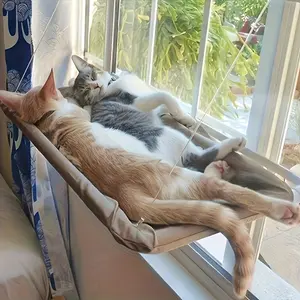 A Cozy Cat Kitten Window Perch - a Comfortable Hammock Bed Designed Specifically for Cats.