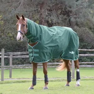 Saxon Defiant 1200 Denier Combo Neck Heavy-Weight Turnout Blanket for Horses, 300g - Waterproof & Insulated