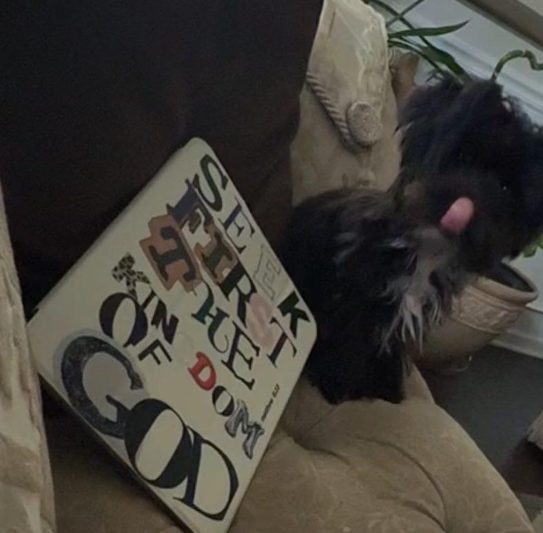 Item: color, iPad 10th/11th（10.9inch)