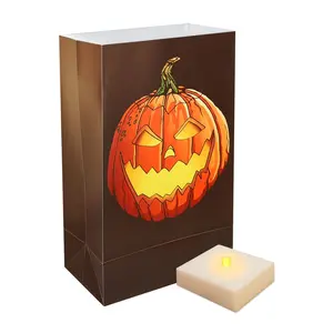 LumaBase Set of 6 Jack O' Lantern LED Luminarias with Timer