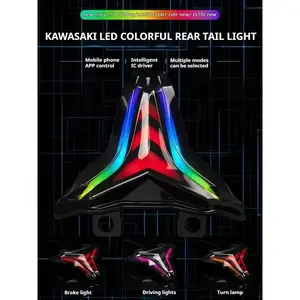 For Kawasaki Ninja 400 250 ZX 4R 4RR 6R Z1000 Motorcycle Tail Light Brake Turn Signal Integrated Programmable Decorative Lamp