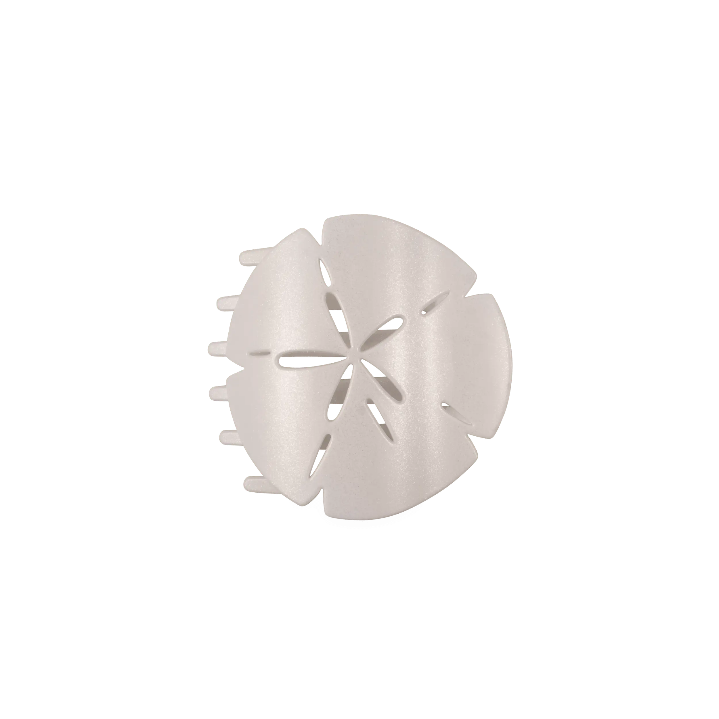 Sand Dollar Medium Flat Hair Clip