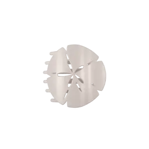 Sand Dollar Medium Flat Hair Clip