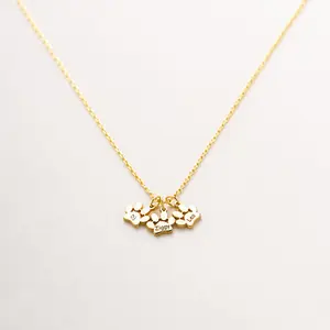 Pet Keepsake Necklace