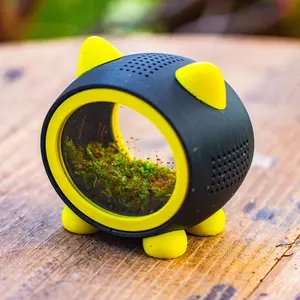 Cute Cat Jumping Spider Enclosure, Dual Magnetic Round Glass Doors, Top & Side Ventilation, Removable Ear Feeding Port, Yellow & Black Spider Habitat