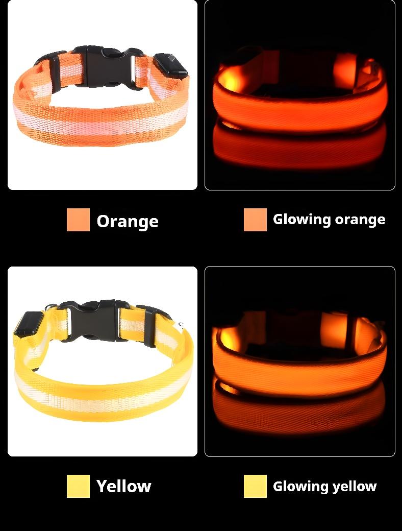 Collar (Glow) - Dog Collar Nylon LED Night Safety Flashing Glow In The Dark Pet Dog Leash pet Dogs Luminous Fluorescent  dog accessories collar night safety Rechargeable reflective cat