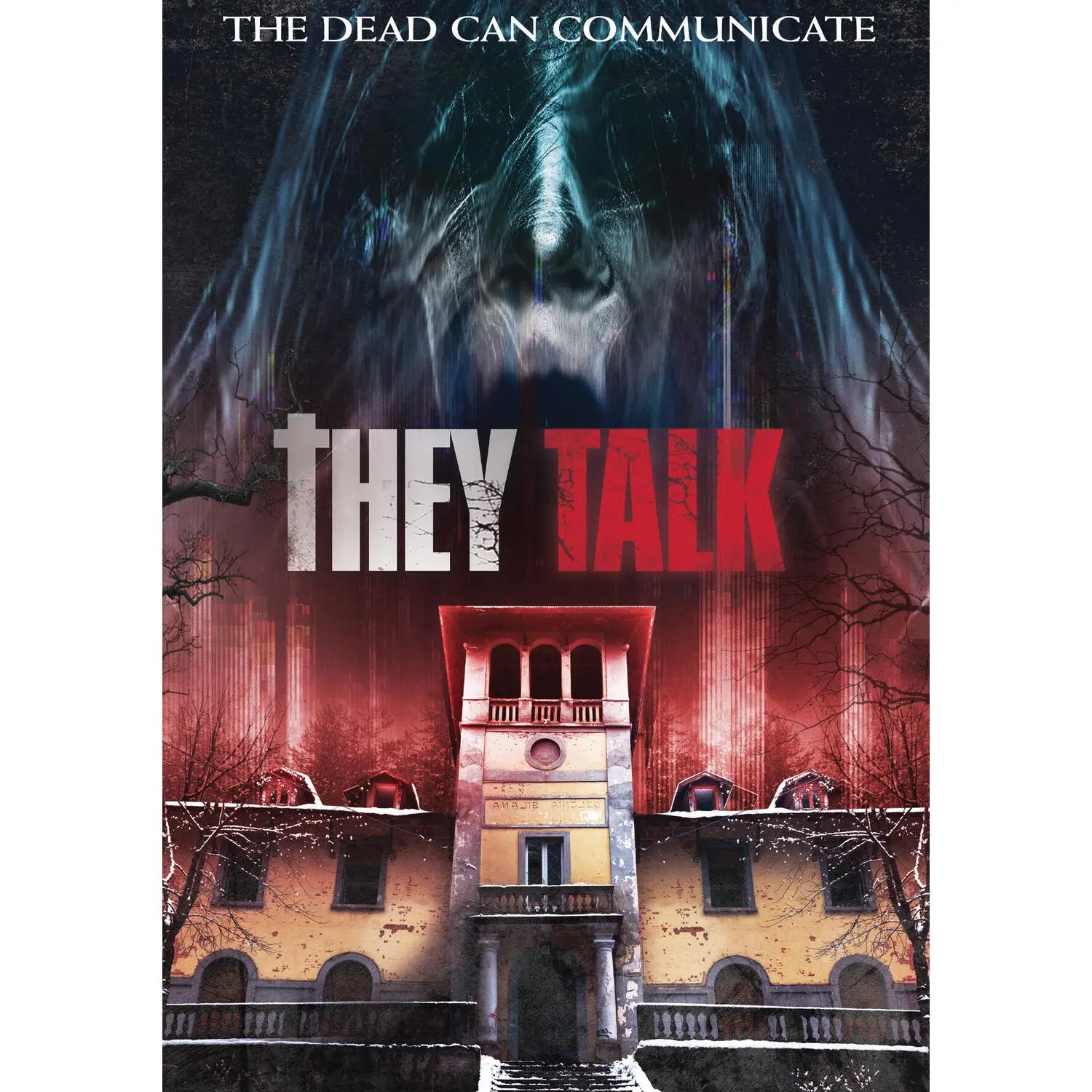 They Talk  [DVD Video Disc]
