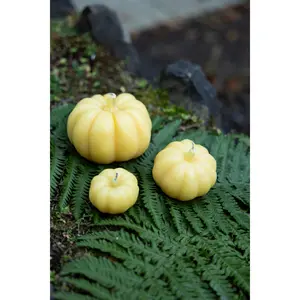 Mini Pumpkin