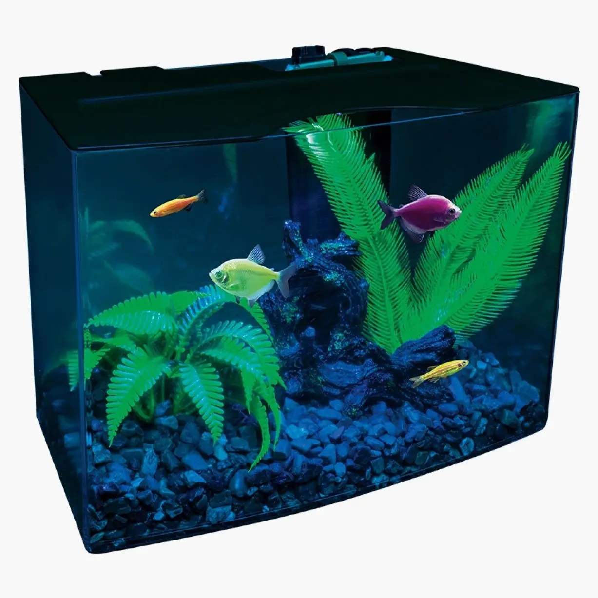 Aquarium Kit 3 Gallons, Includes Hidden Blue LED Light and Internal Filter