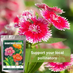 400pcs Dianthus Baby Doll Flower Seeds for Planting  - Non-GMO Heirloom Packet to Plant a Home Flower Garden - Rare and Fragrant Blooms to Attract Pollinators