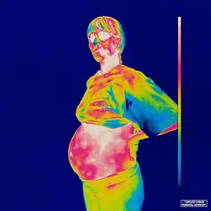 Brockhampton - Iridescence NEW Vinyl Record 190759043912