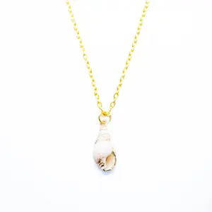 Conch shell Necklace
