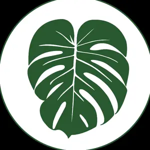 Plantamani Plant Co
