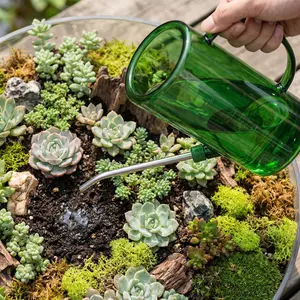 Long Spout Watering Can with Scale, Modern Design, Glass, 1500ML Capacity, Ideal for Gardening and Home Use