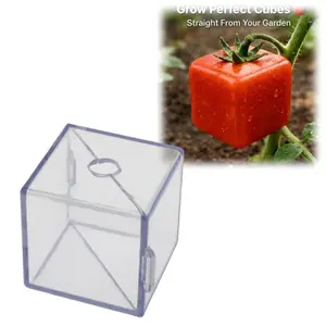 Triangular, Cubic, and Fruit Cultivation Molds, Specially Designed for Strawberries, Tomatoes, Pears, Apples, Unique Shapes
