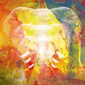 Join the Din - Elephants In Autumn Rage  [COMPACT DISC - CD] UK - Import