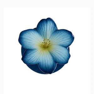 Blue Blossom Blue Blossom