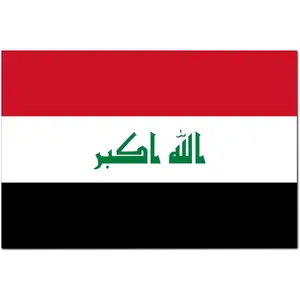 Iraq Flag Wood Sign Classic Country Flag Cafes Bars Pubs Shop Wall Decorative Personalized Iraq Lover Thanksgiving Day Gift for Women Men Grandparent Xmas Winter Hanging Wall Art 8x12in