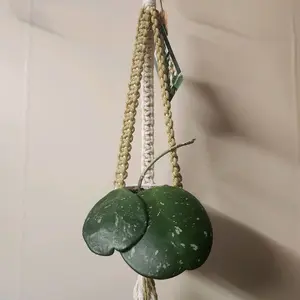 Green Flat-Style Macrame Plant Hanger with Gold Ring for 2 Inch Pots - Hangable Organizer for Home Decor, Window Decor- Olive Green