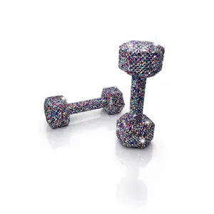 Prism Crystal Dumbbells - Multicolor Luxury Set