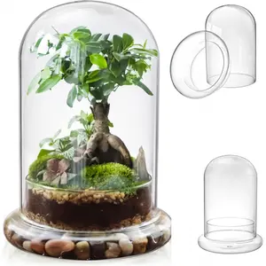 Glass Cloche Dome with Air Hole, Plant Terrarium for Plants, 5.9 x 8.3 Inches Large Terrarium Bell Jar with Base, Closed Terrarium for Moss, Miniature Gardening Landscape, No Plants