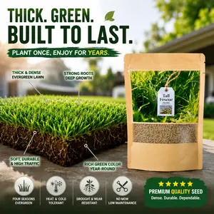 6000 Seeds Rapid Growth Lawn Grass – No Bald Spots, All-Weather Hardy, Perfect for Dense Turf & Golf Greens  #Summervibes