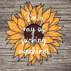 Ray of Sunshine Sticker Vinyl Decor Decorative