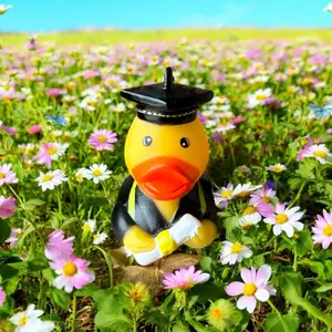 Graduation Rubber Ducks for Jeep Ducking (10-Pack)