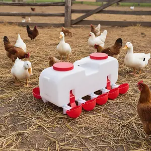 Automatic Fill 10KG Poultry Waterer with 10 Drinking Cups, Leak-Proof Tool for Chicks, Farm Poultry Feeding Supplies