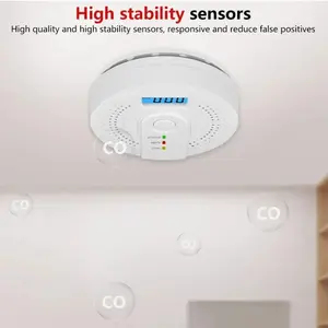Independent CO-Detector