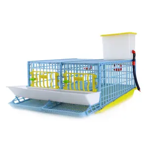 Quail Cage - 2 Section Quail Cage - 2 Section