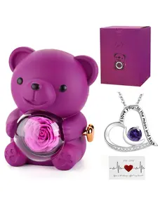 Romantic Teddy Bear Gift Set featuring a Preserved Rose and Heart-Shaped Moon Necklace—A Perfect Gift for Her. Ideal for Valentine's Day, Weddings, Mother's Day, Anniversaries, Birthdays, the Holiday Season, and Graduations. Color: Red.
