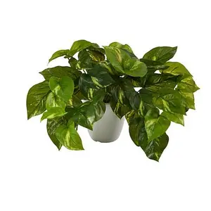 Nearly Natural 9 in. Pothos Plant in White Planter (Real Touch)